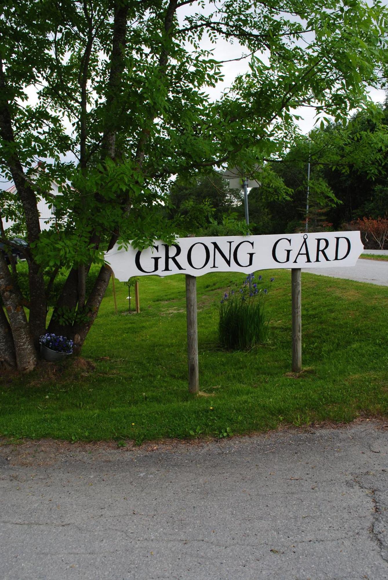 Grong Gard Guesthouse Ngoại thất bức ảnh